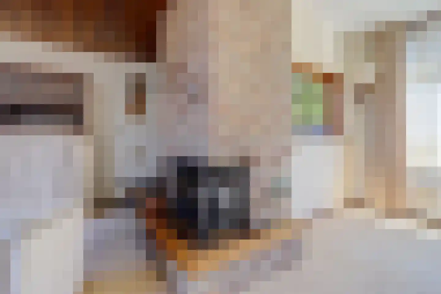 Santcade 7 Sleeuwijk thumbnail 12