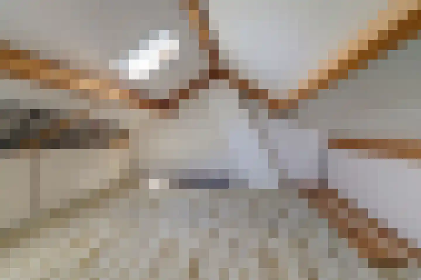 Santcade 7 Sleeuwijk thumbnail 31