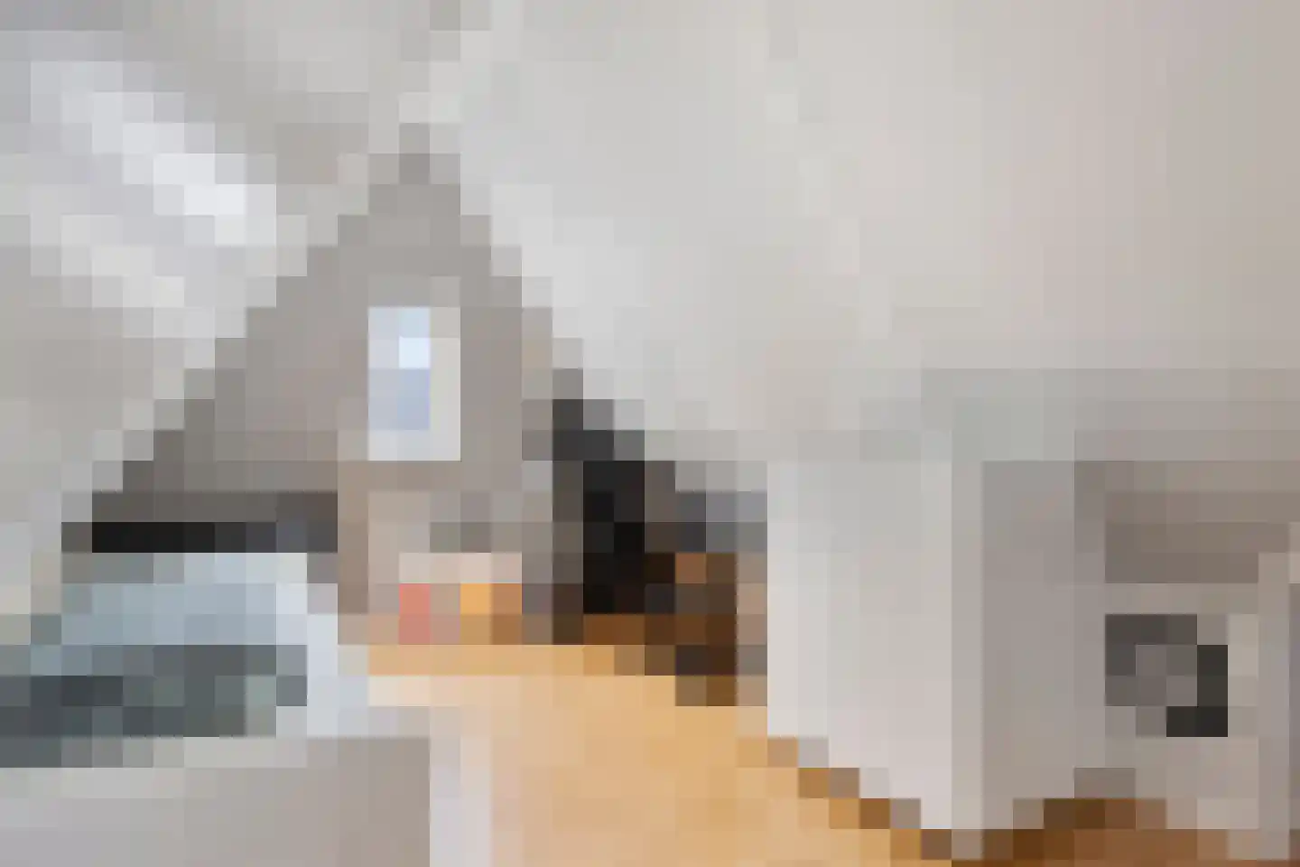 Santgors 27 Zuid-Beijerland thumbnail 36