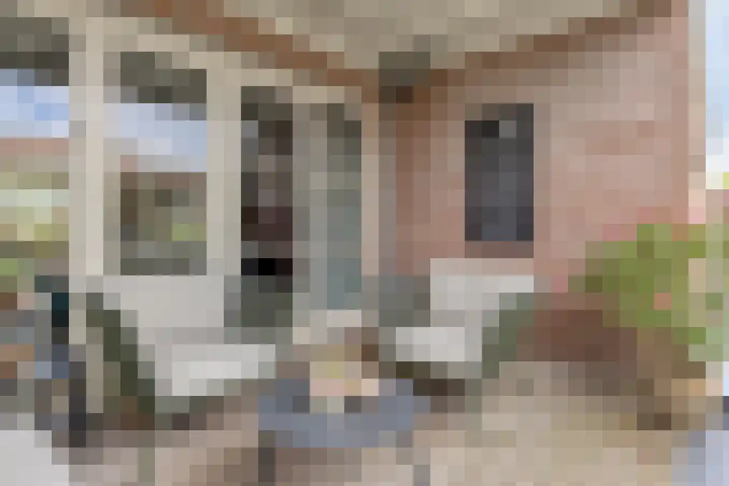 Santgors 27 Zuid-Beijerland thumbnail 40