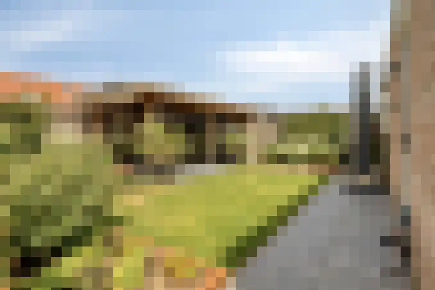 Santgors 27 Zuid-Beijerland thumbnail 42