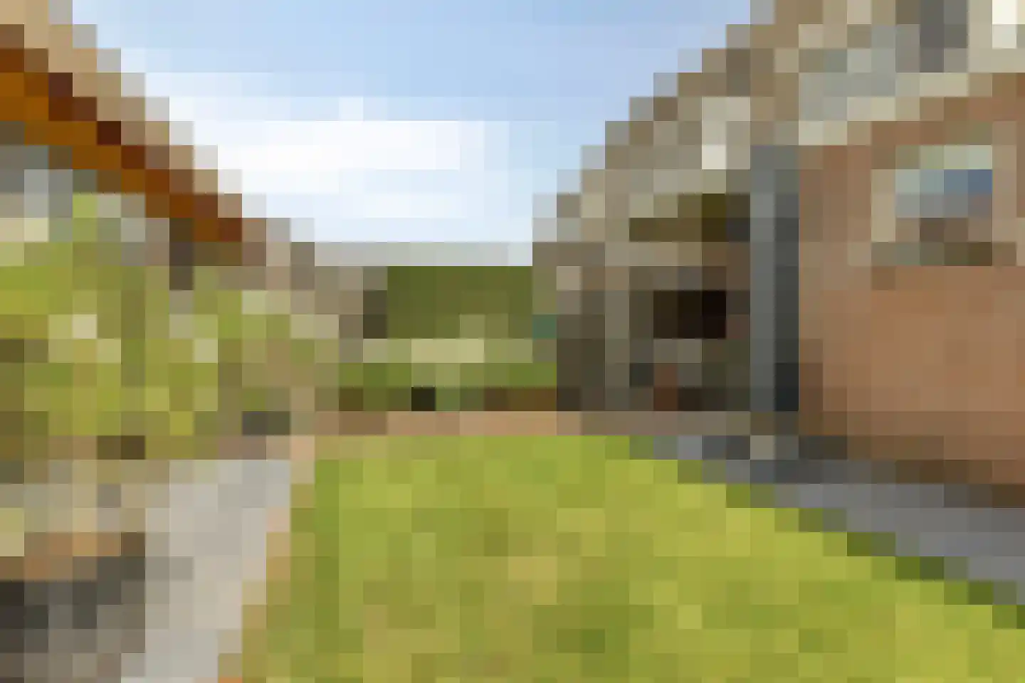 Santgors 27 Zuid-Beijerland thumbnail 43