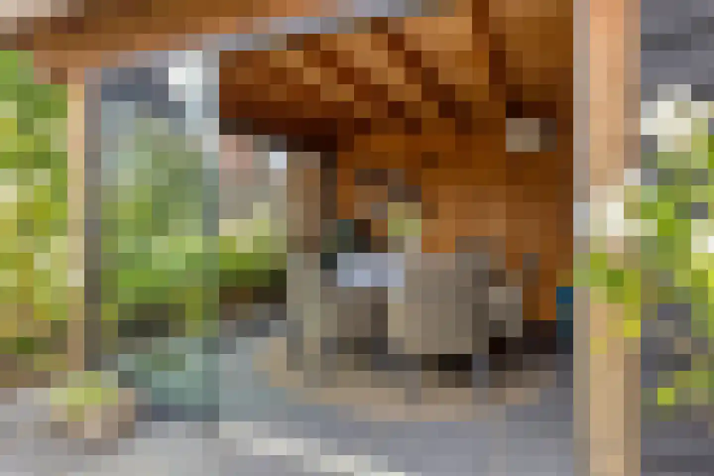 Santgors 27 Zuid-Beijerland thumbnail 45