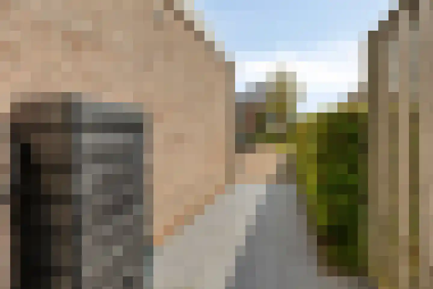 Santgors 27 Zuid-Beijerland thumbnail 47