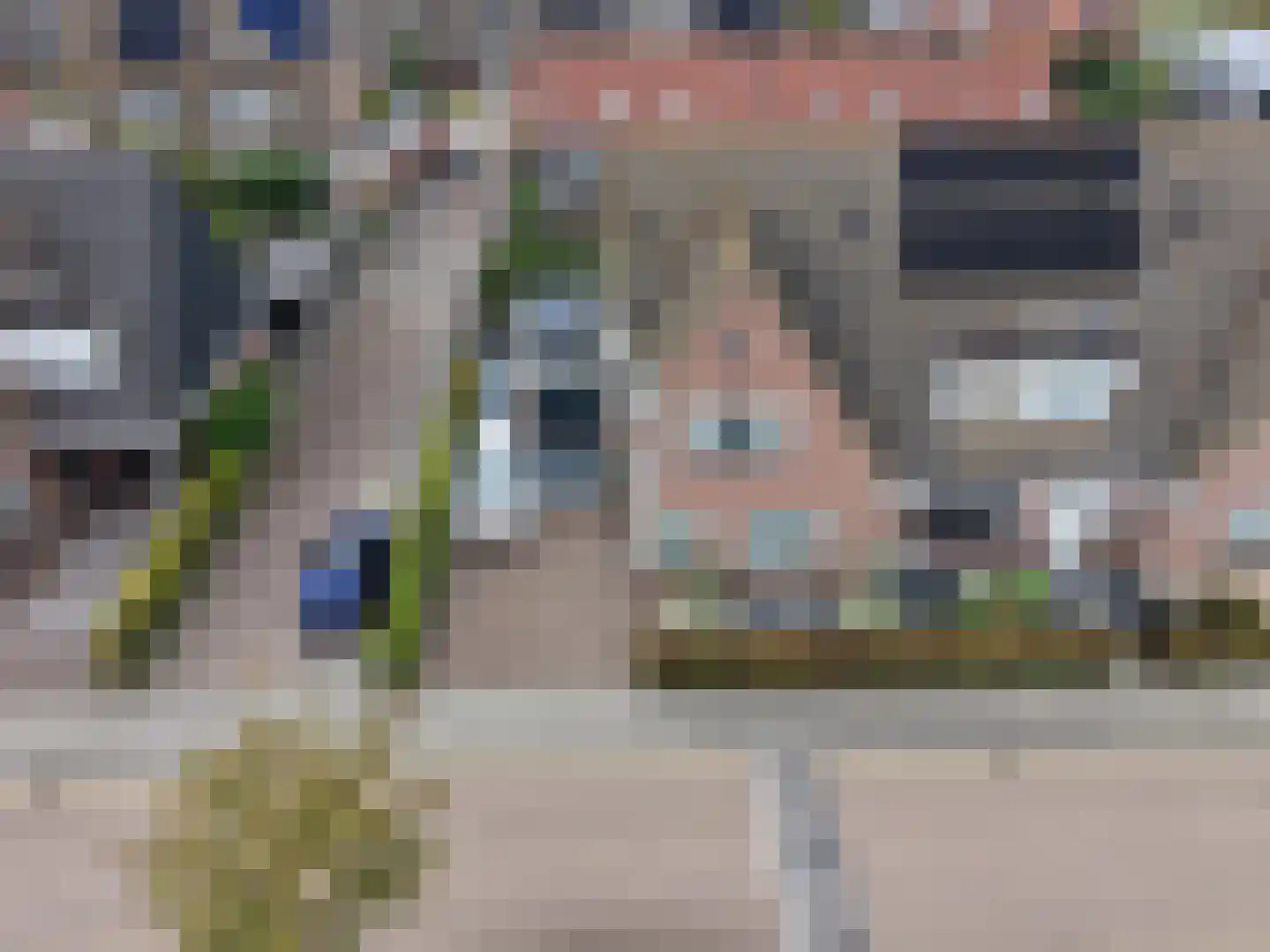Santgors 27 Zuid-Beijerland thumbnail 55