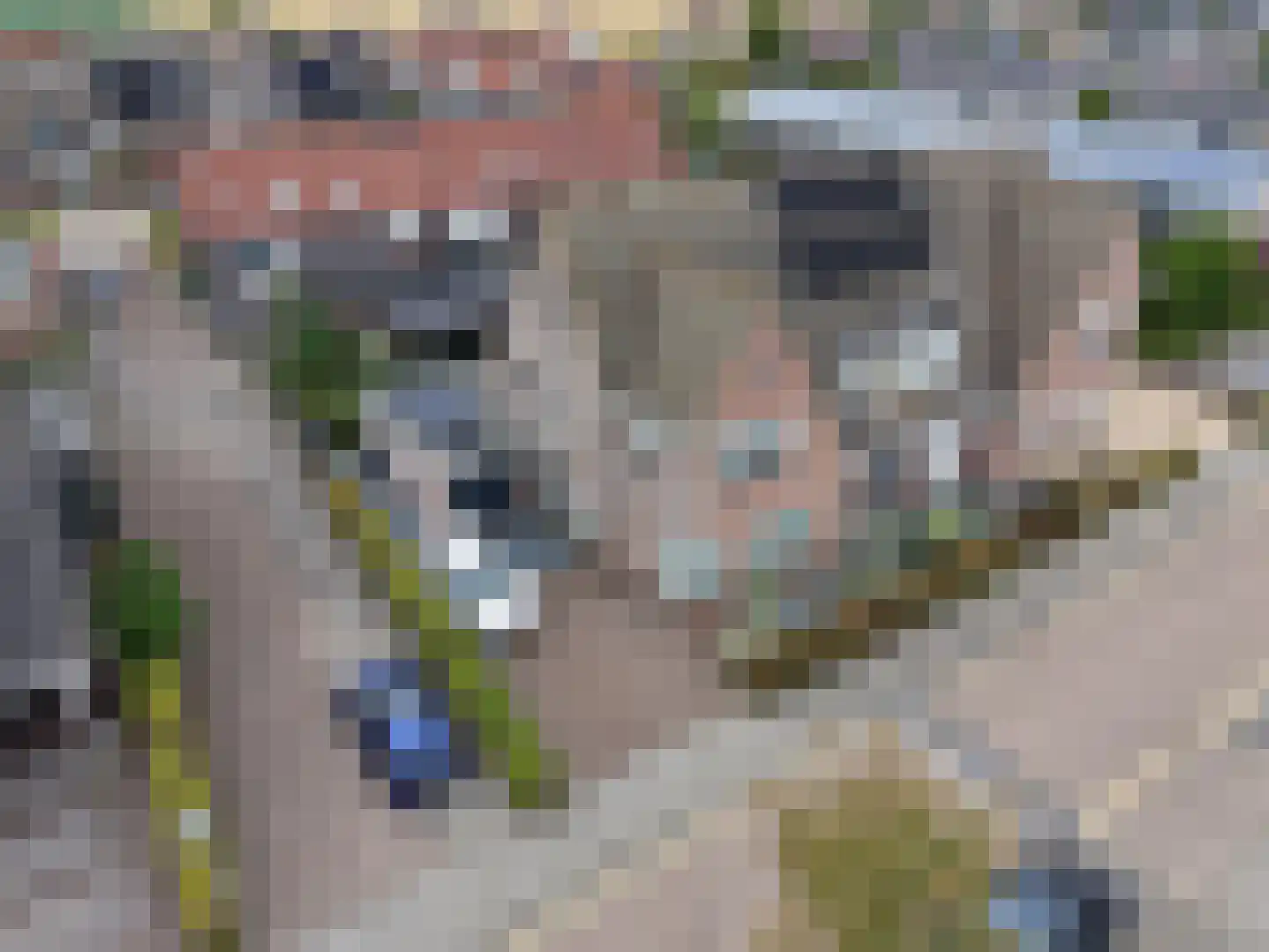 Santgors 27 Zuid-Beijerland thumbnail 56