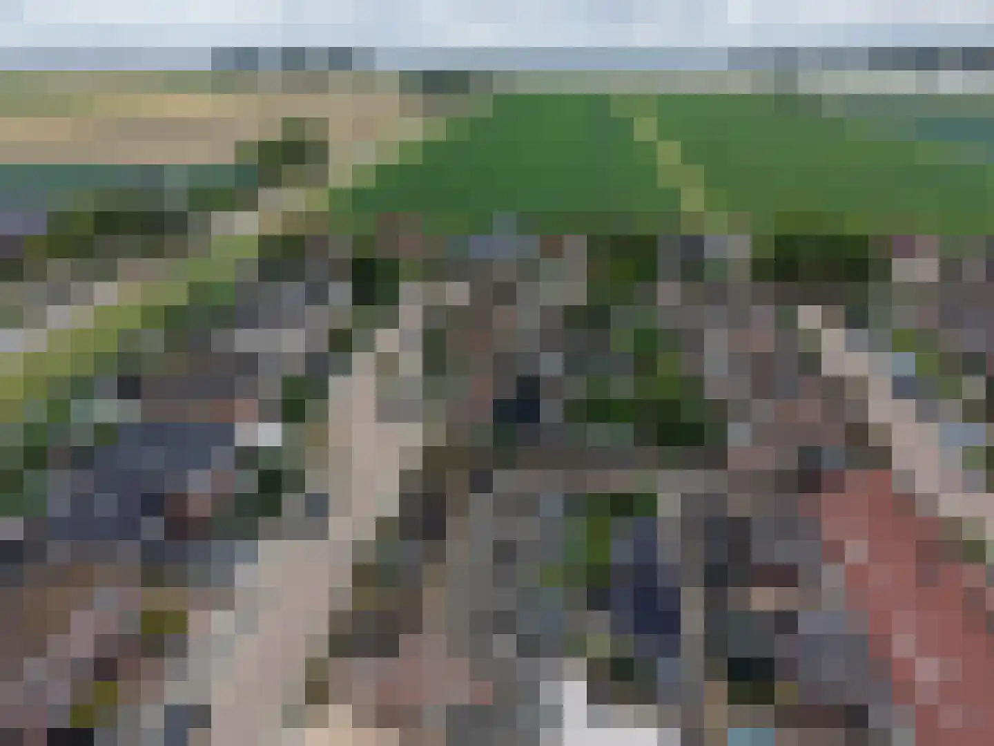 Santgors 27 Zuid-Beijerland thumbnail 58