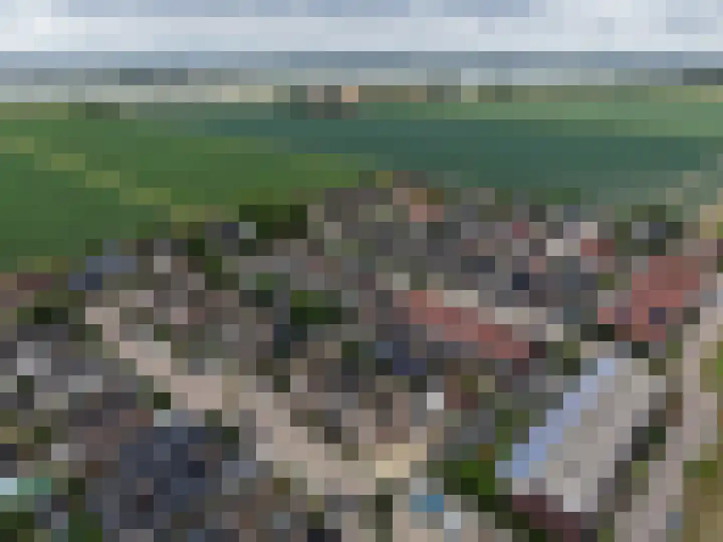 Santgors 27 Zuid-Beijerland thumbnail 60