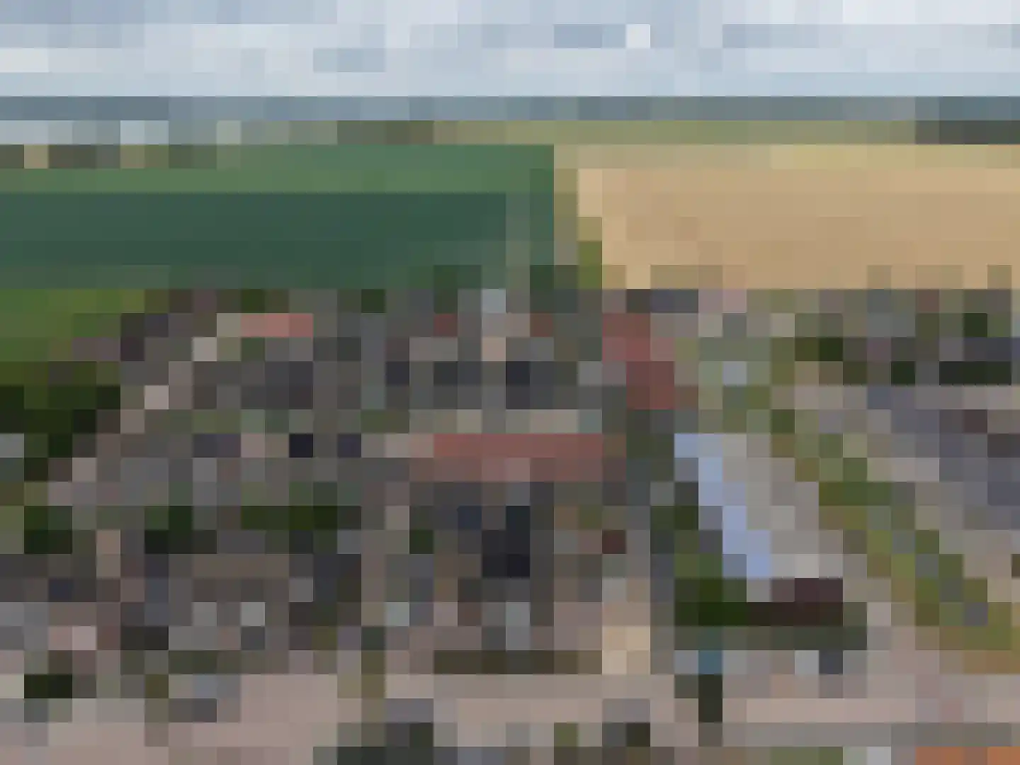 Santgors 27 Zuid-Beijerland thumbnail 61