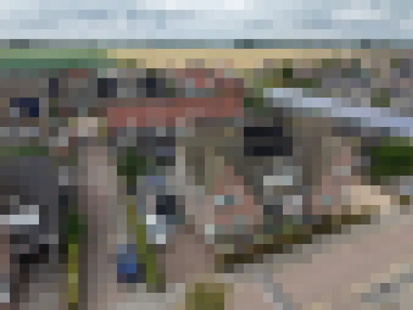 Santgors 27 Zuid-Beijerland thumbnail 62