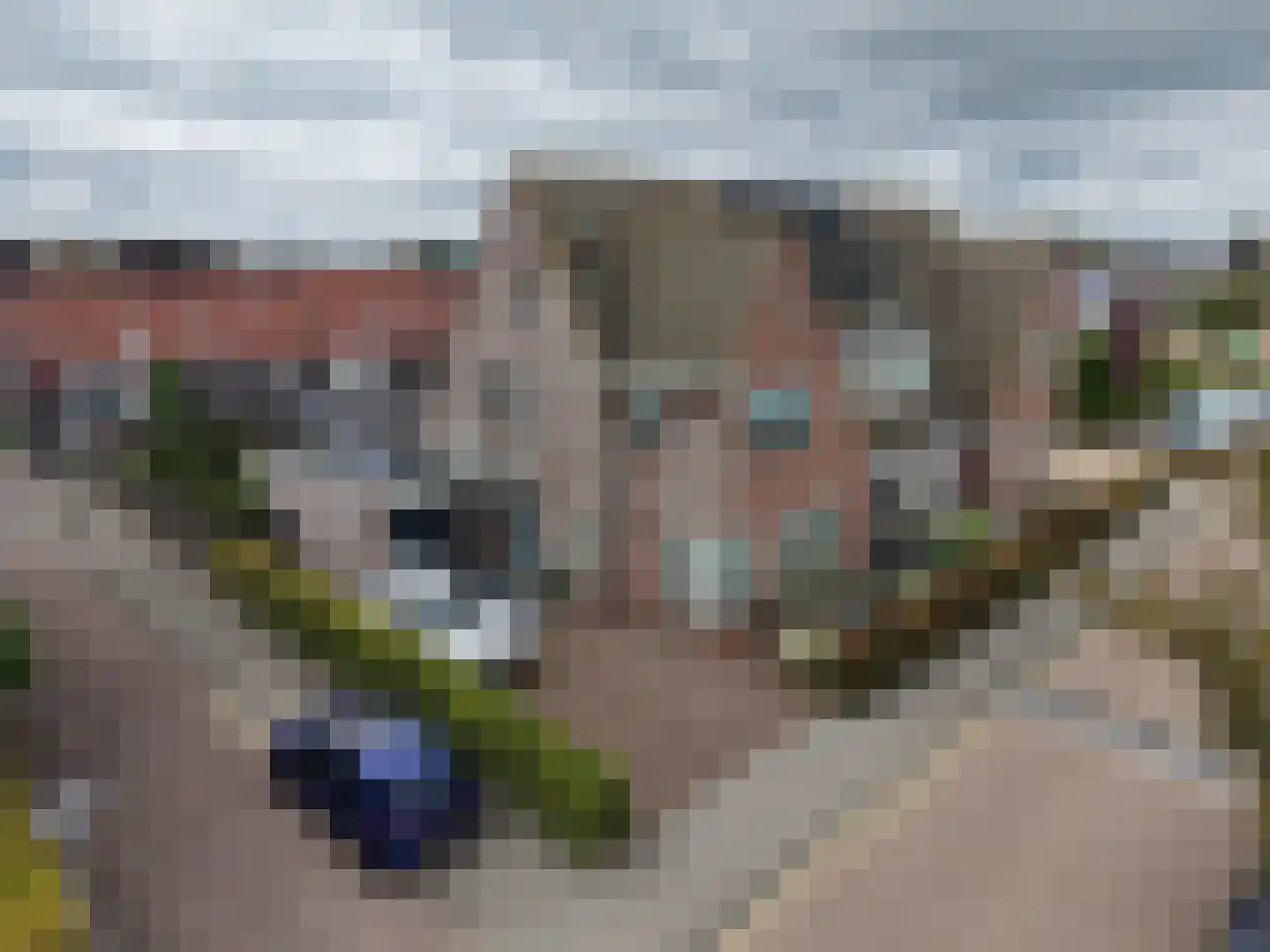 Santgors 27 Zuid-Beijerland thumbnail 63