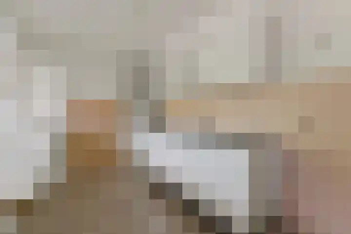 Santhorst 103 Leiderdorp thumbnail 10