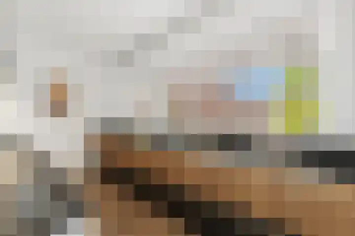 Santhorst 103 Leiderdorp thumbnail 12