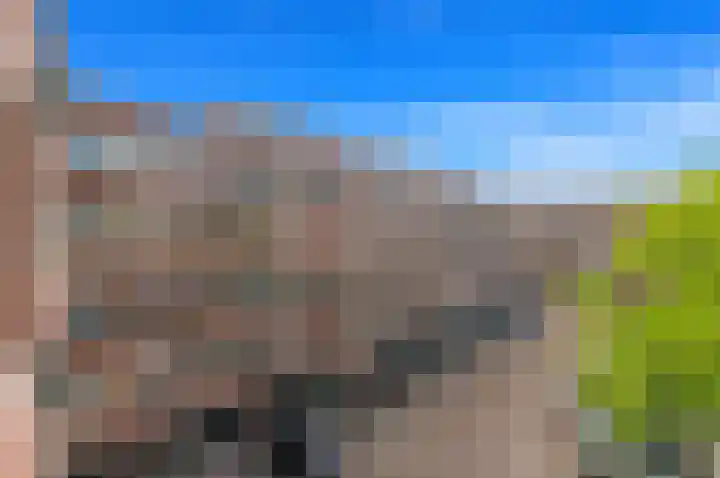 Santhorst 103 Leiderdorp thumbnail 13