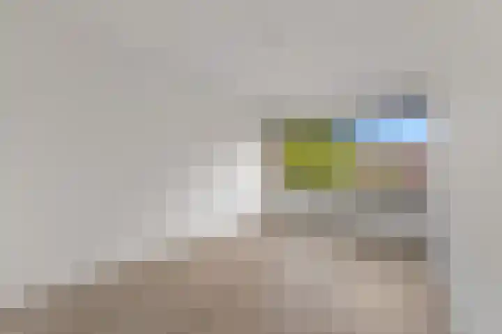 Santhorst 103 Leiderdorp thumbnail 30