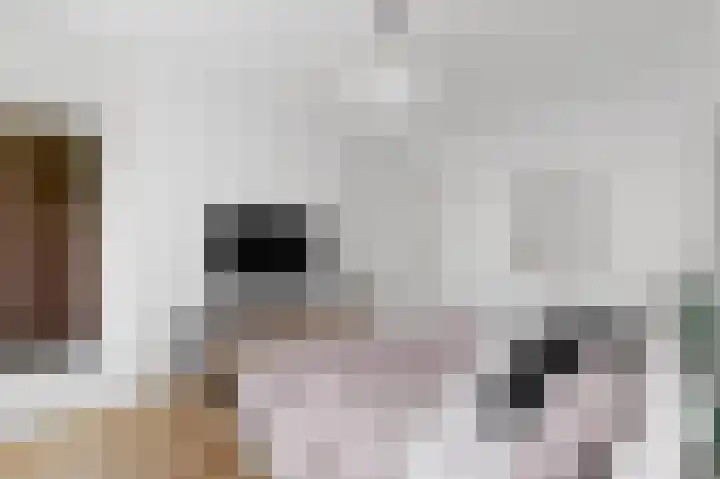 Santhorst 103 Leiderdorp thumbnail 32