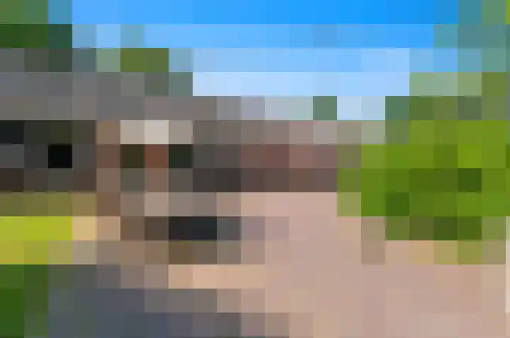 Santhorst 103 Leiderdorp thumbnail 43