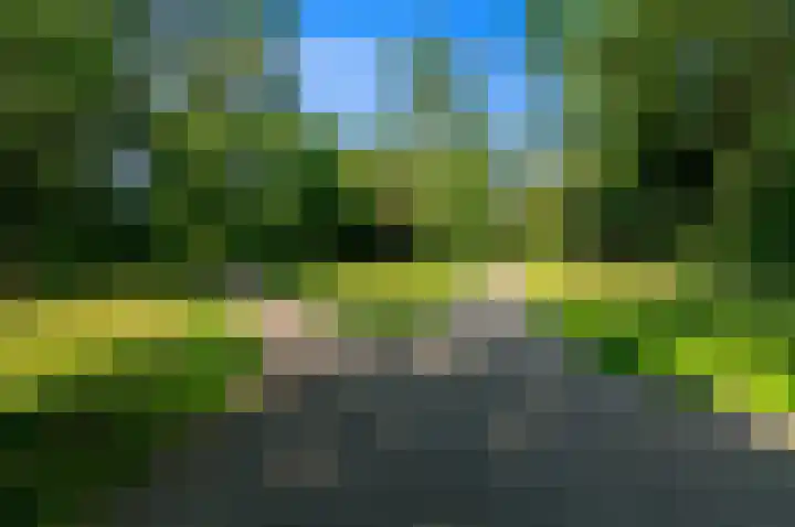 Santhorst 103 Leiderdorp thumbnail 44