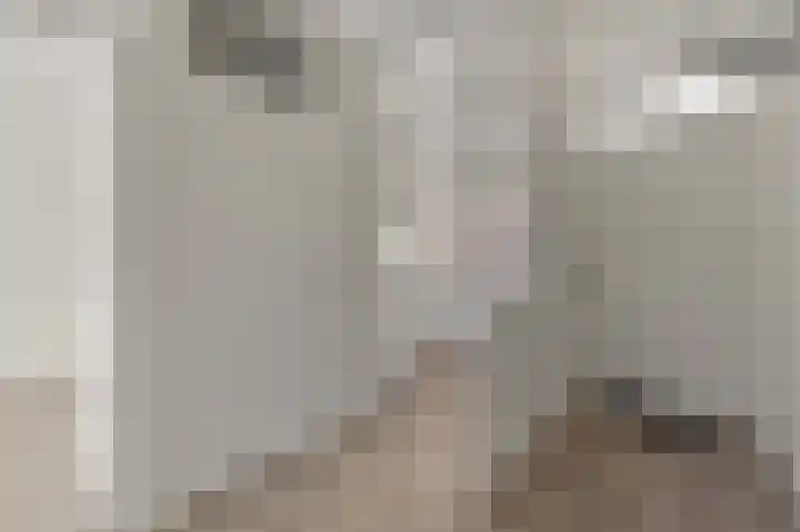 Santhorst 103 Leiderdorp thumbnail 9