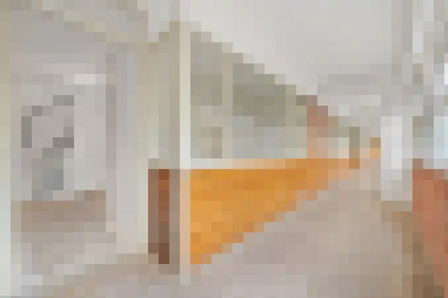 Santhorst 111 Leiderdorp thumbnail 19