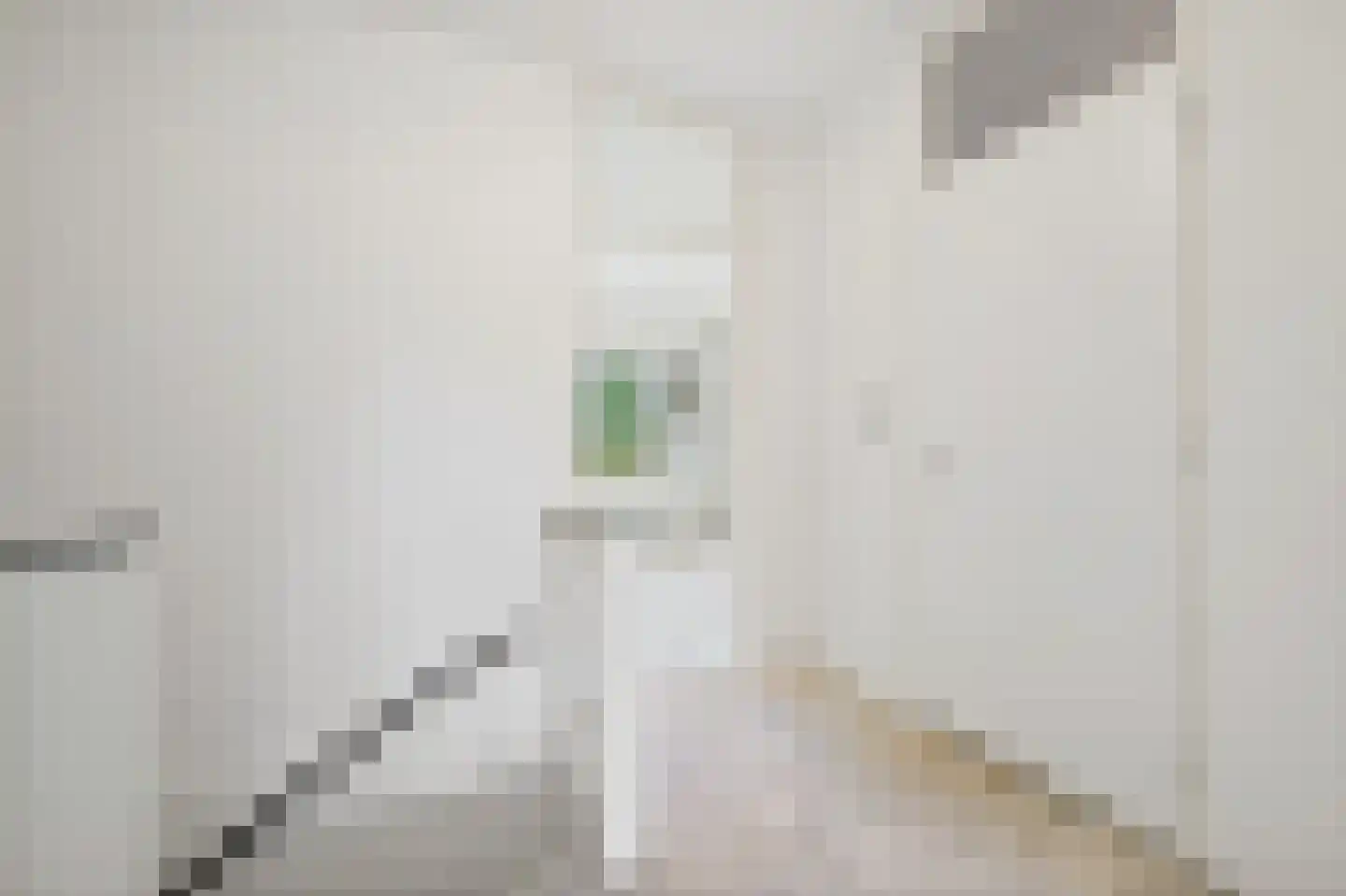 Santhorst 111 Leiderdorp thumbnail 28