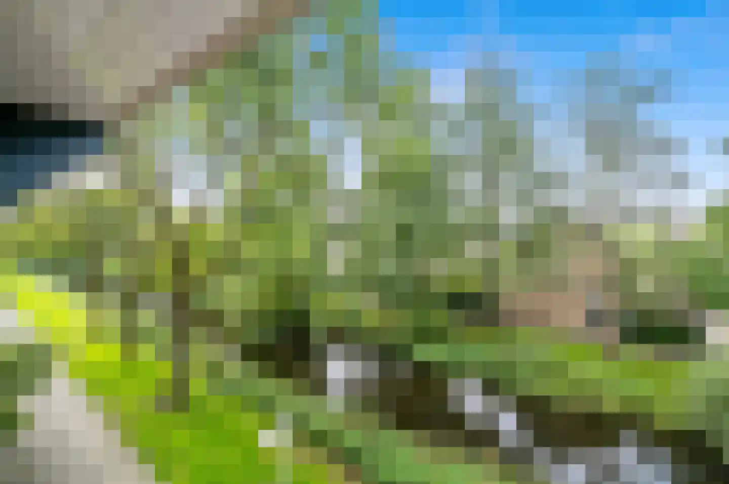 Santhorst 111 Leiderdorp thumbnail 40