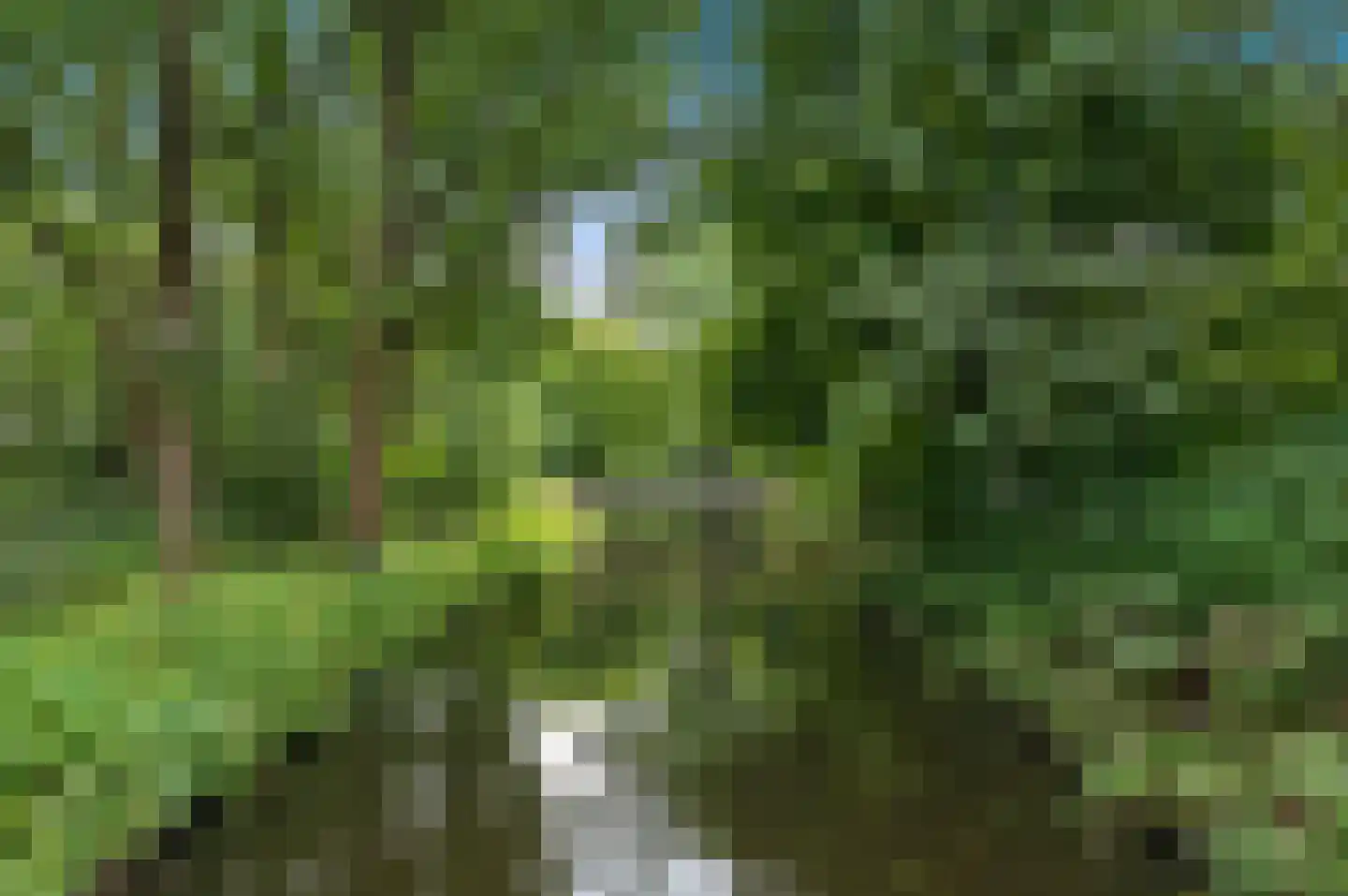 Santhorst 111 Leiderdorp thumbnail 47