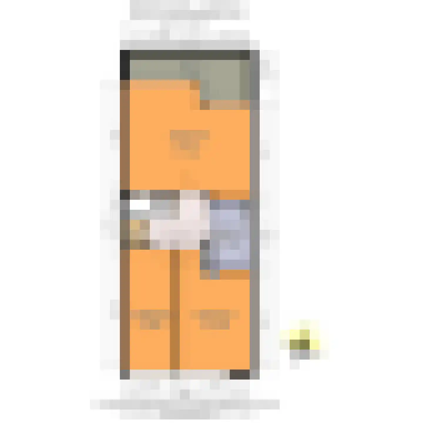 Santhorst 111 Leiderdorp thumbnail 49