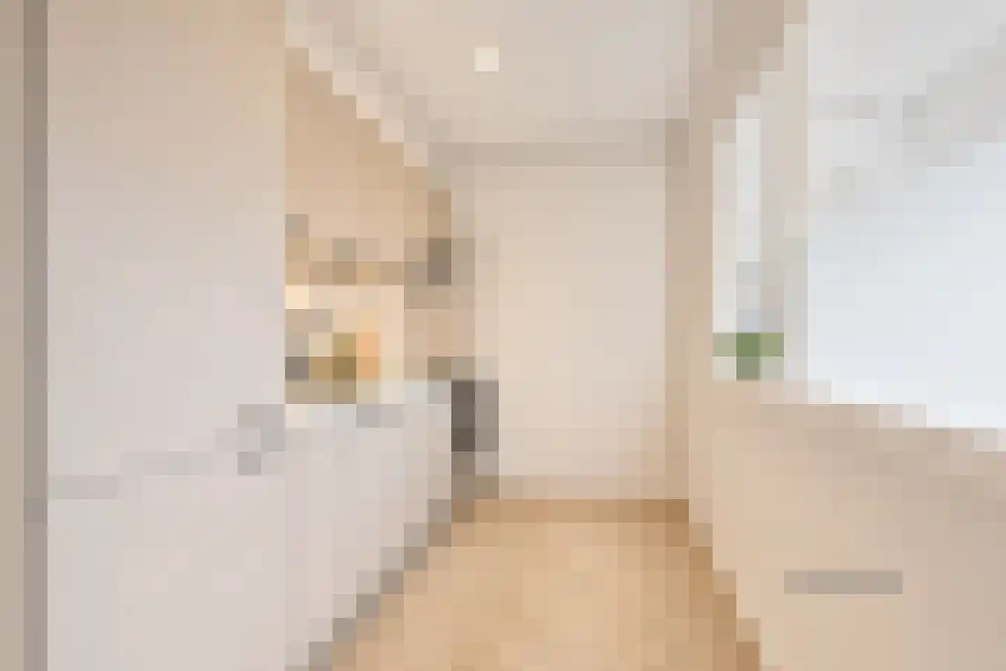 Santhorst 111 Leiderdorp thumbnail 8