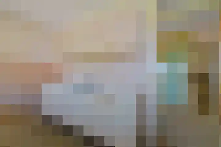 Santhorst 153 Leiderdorp thumbnail 11