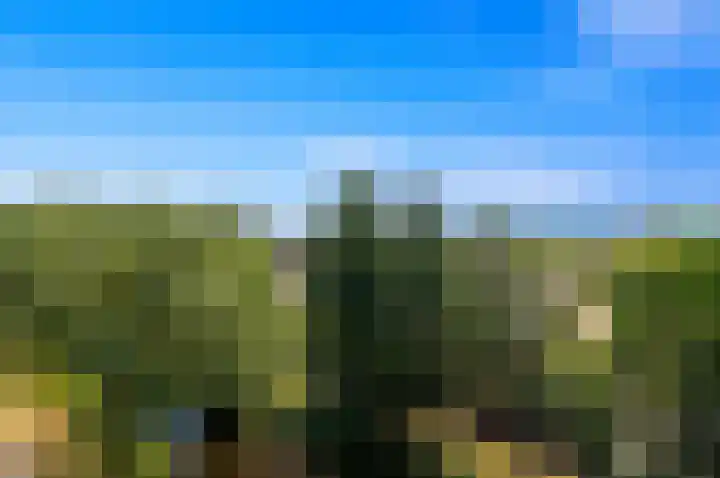 Santhorst 153 Leiderdorp thumbnail 35