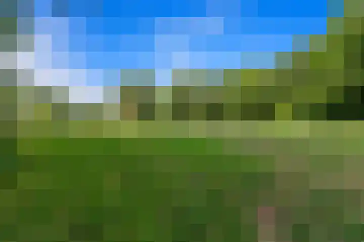 Santhorst 153 Leiderdorp thumbnail 41