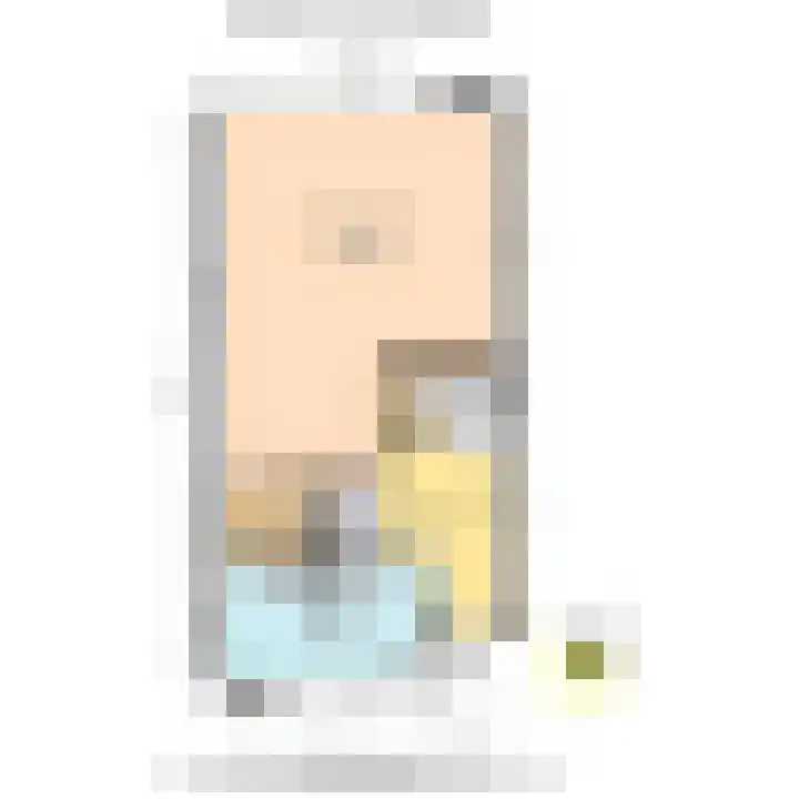 Santhorst 153 Leiderdorp thumbnail 47