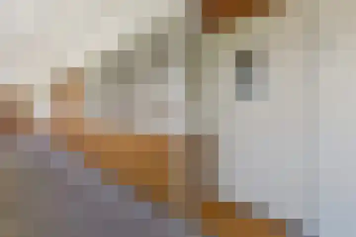 Santhorst 153 Leiderdorp thumbnail 6