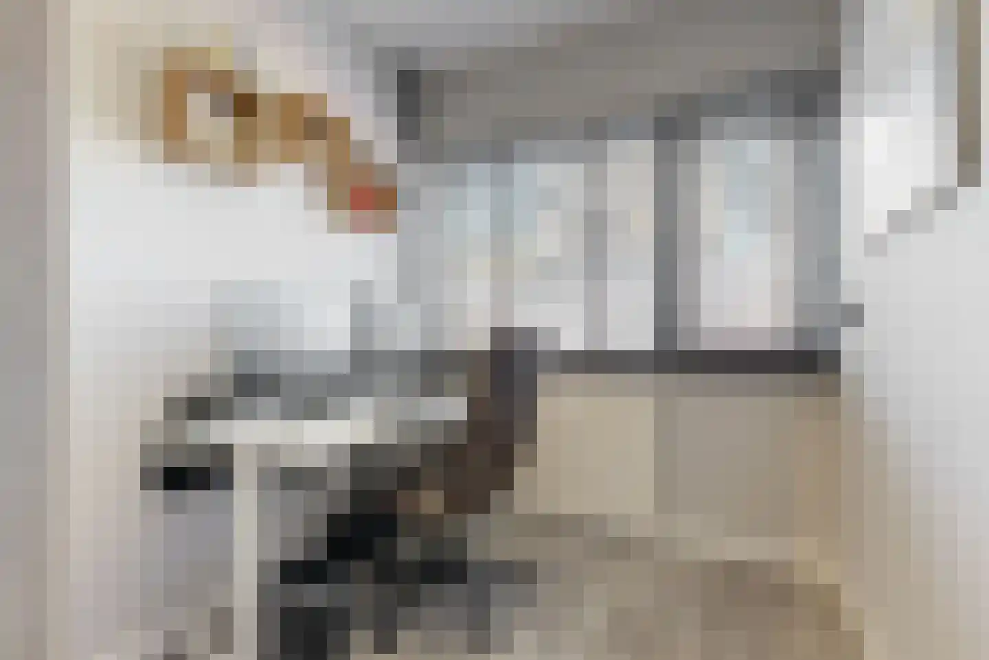Santhorst 21 Leiderdorp thumbnail 18