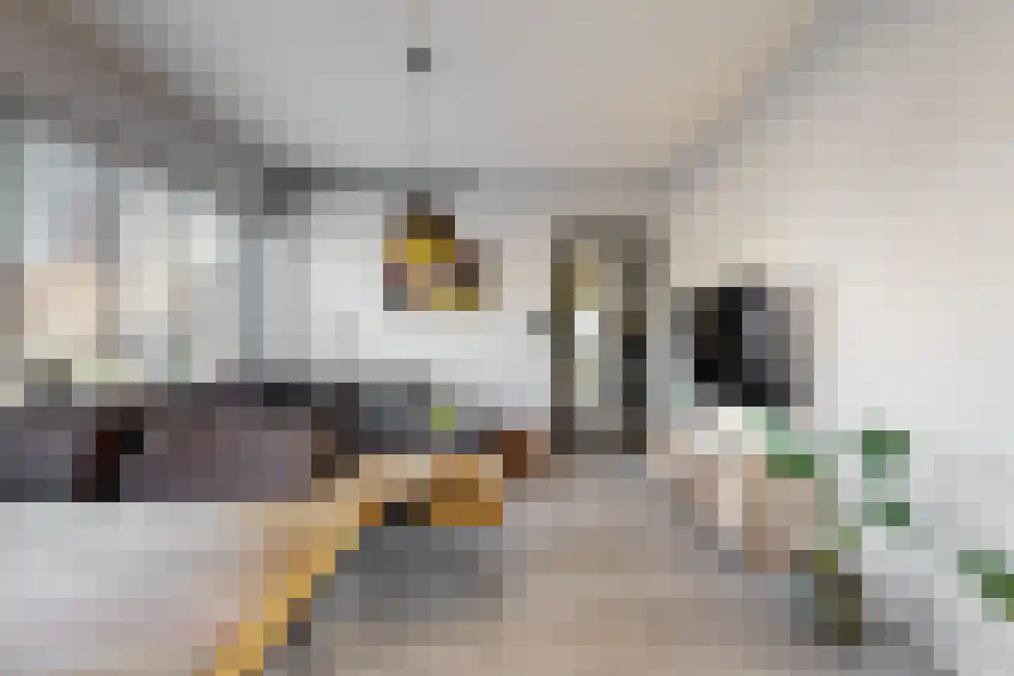 Santhorst 21 Leiderdorp thumbnail 9