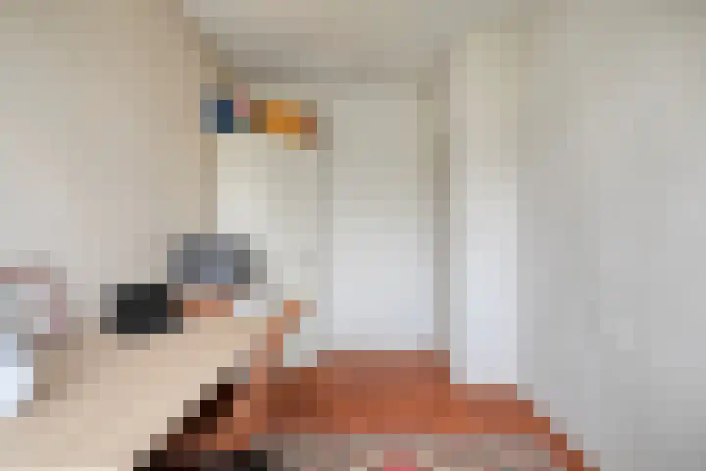 Santhorst 49 Leiderdorp thumbnail 26