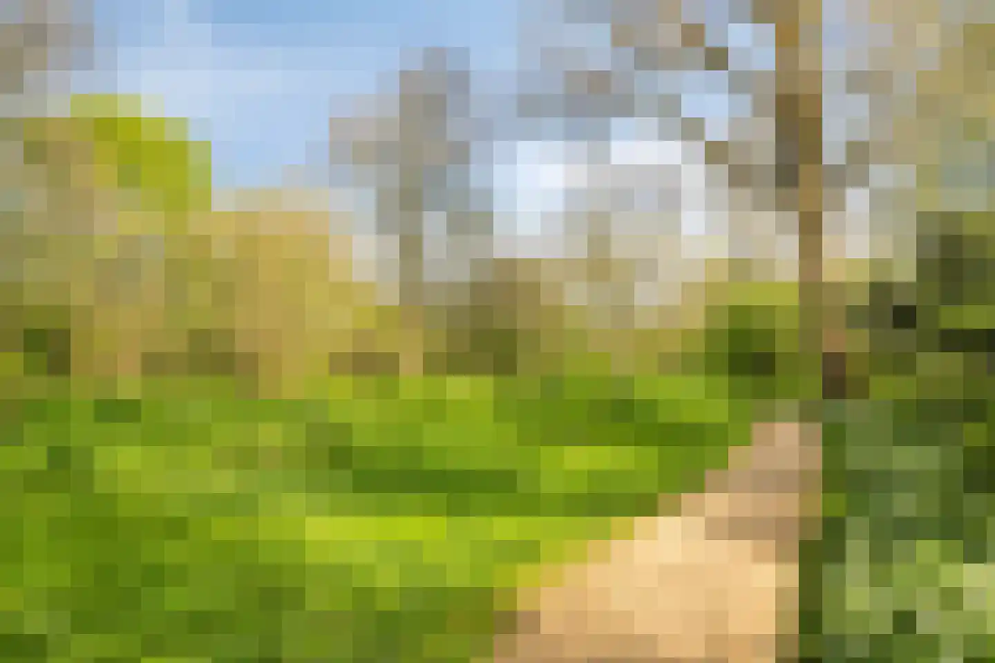 Santhorst 49 Leiderdorp thumbnail 35