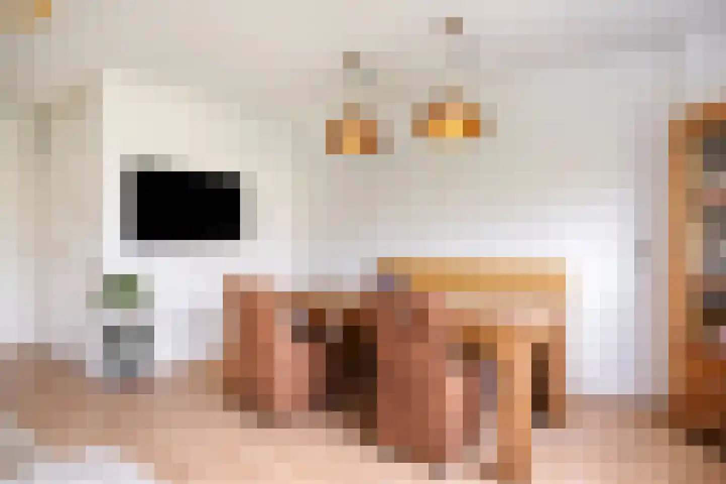 Santhorst 49 Leiderdorp thumbnail 6