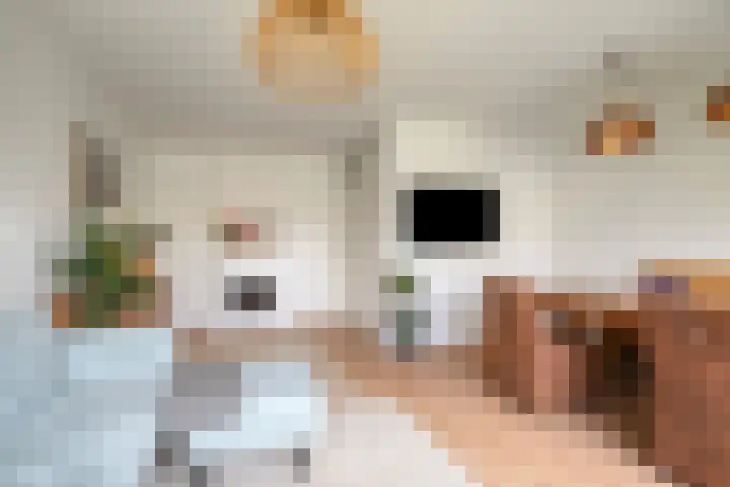 Santhorst 49 Leiderdorp thumbnail 9