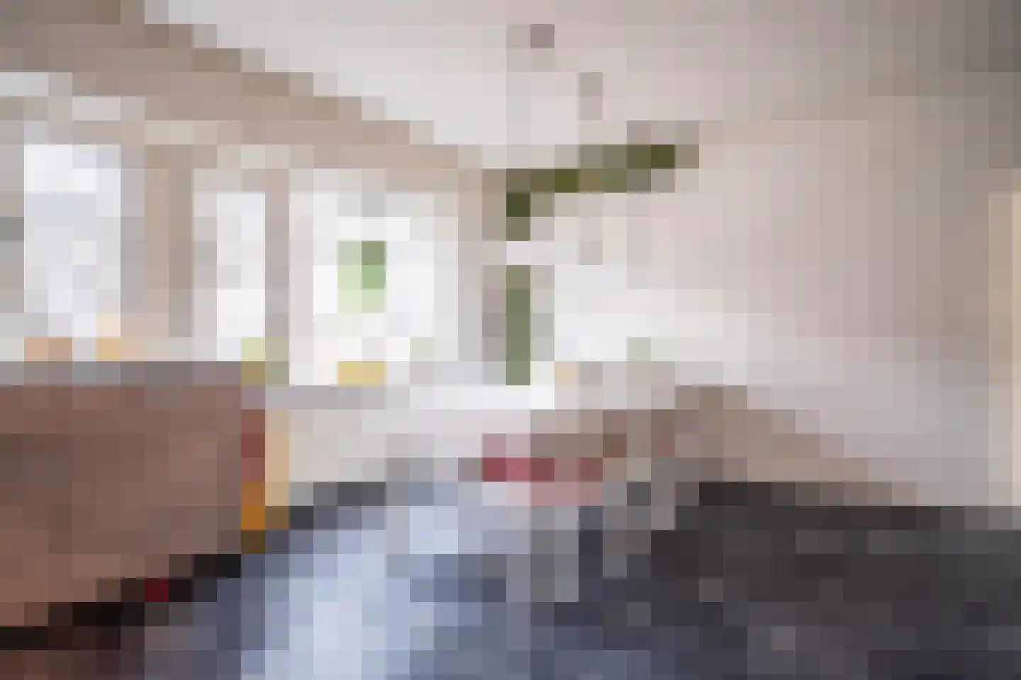 Santhorst 5 Leiderdorp thumbnail 14