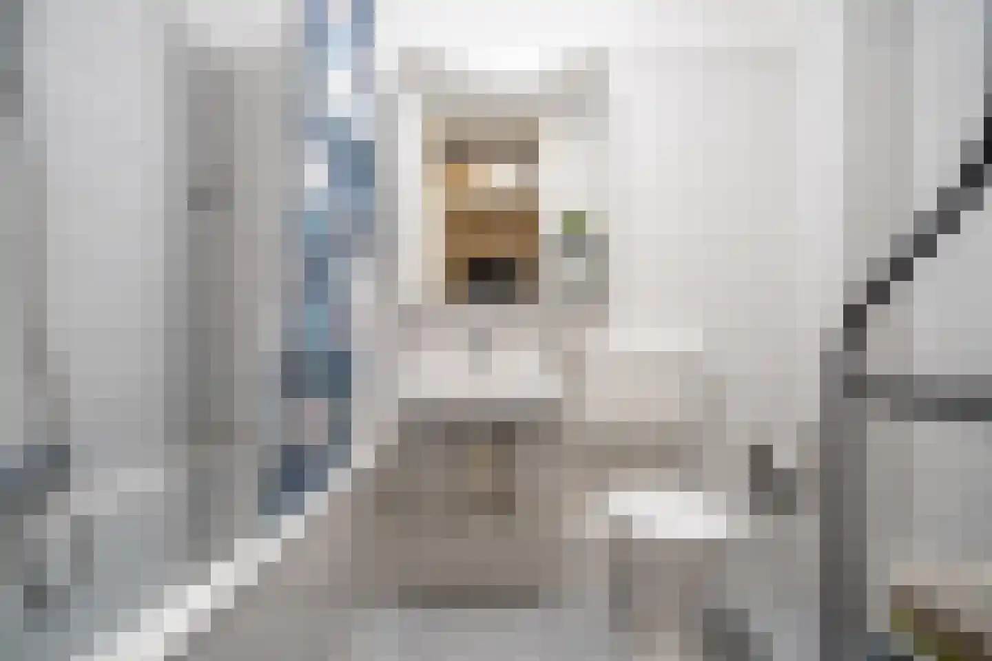 Santhorst 5 Leiderdorp thumbnail 20