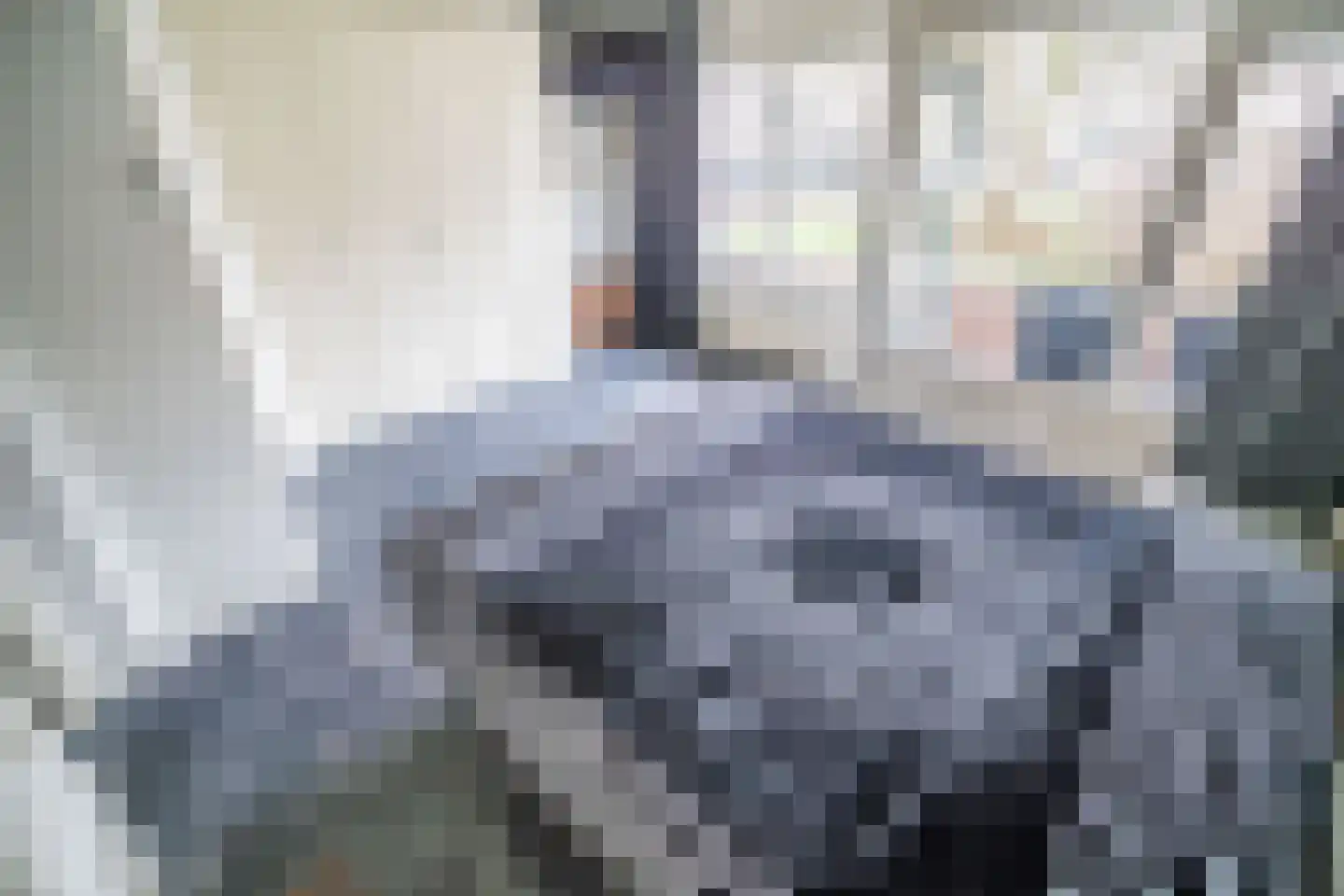 Santhorst 5 Leiderdorp thumbnail 24