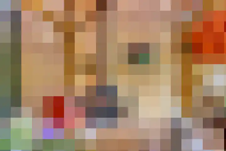 Santhorst 5 Leiderdorp foto 3