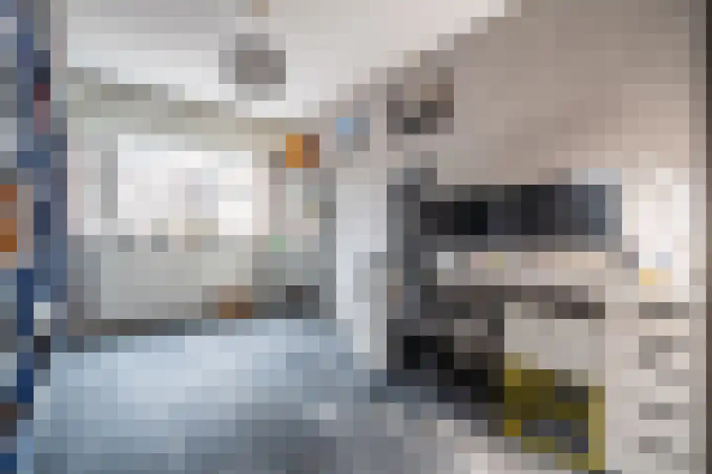 Santhorst 5 Leiderdorp thumbnail 34
