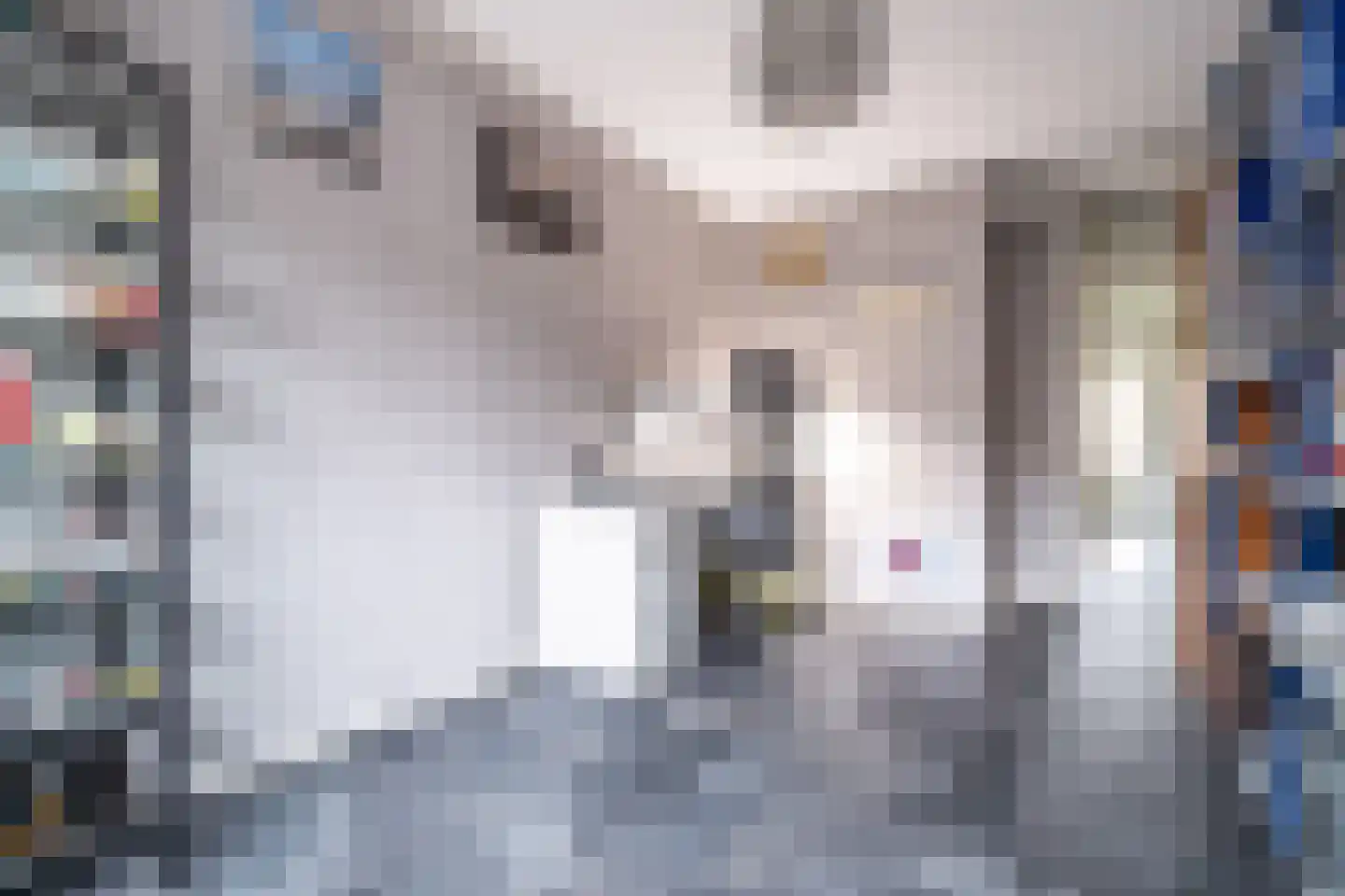 Santhorst 5 Leiderdorp thumbnail 35