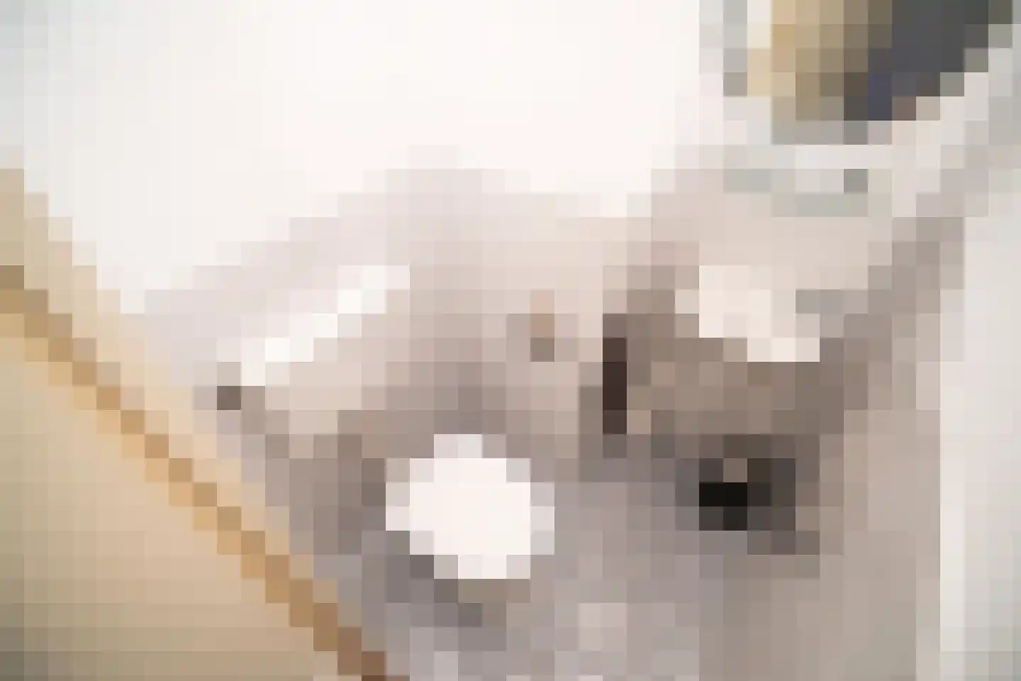 Santhorst 5 Leiderdorp thumbnail 38