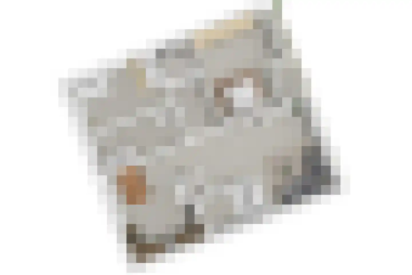 Santhorst 5 Leiderdorp thumbnail 49