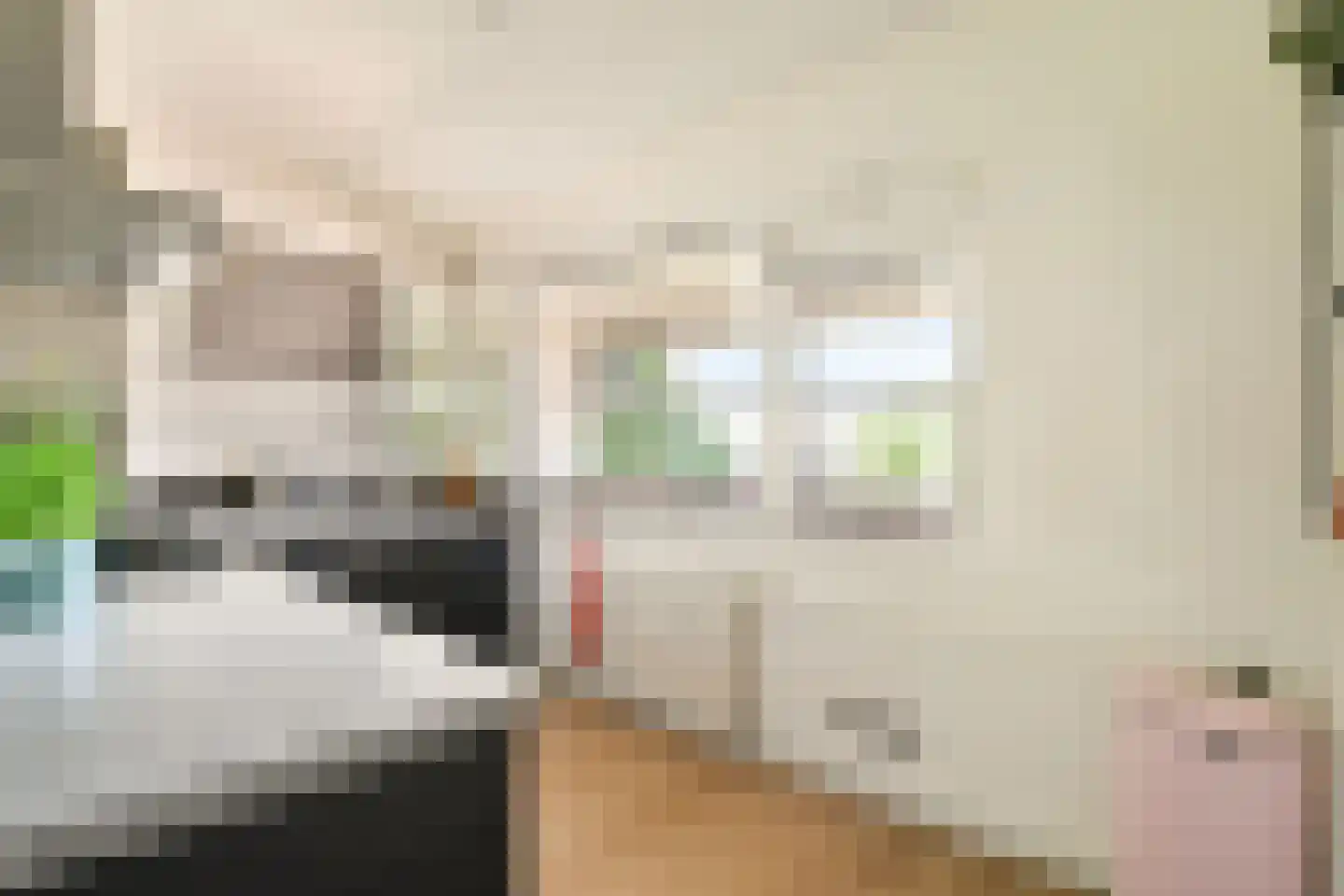 Santhorst 51 Leiderdorp thumbnail 12