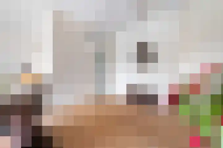 Santhorst 63 Leiderdorp thumbnail 18